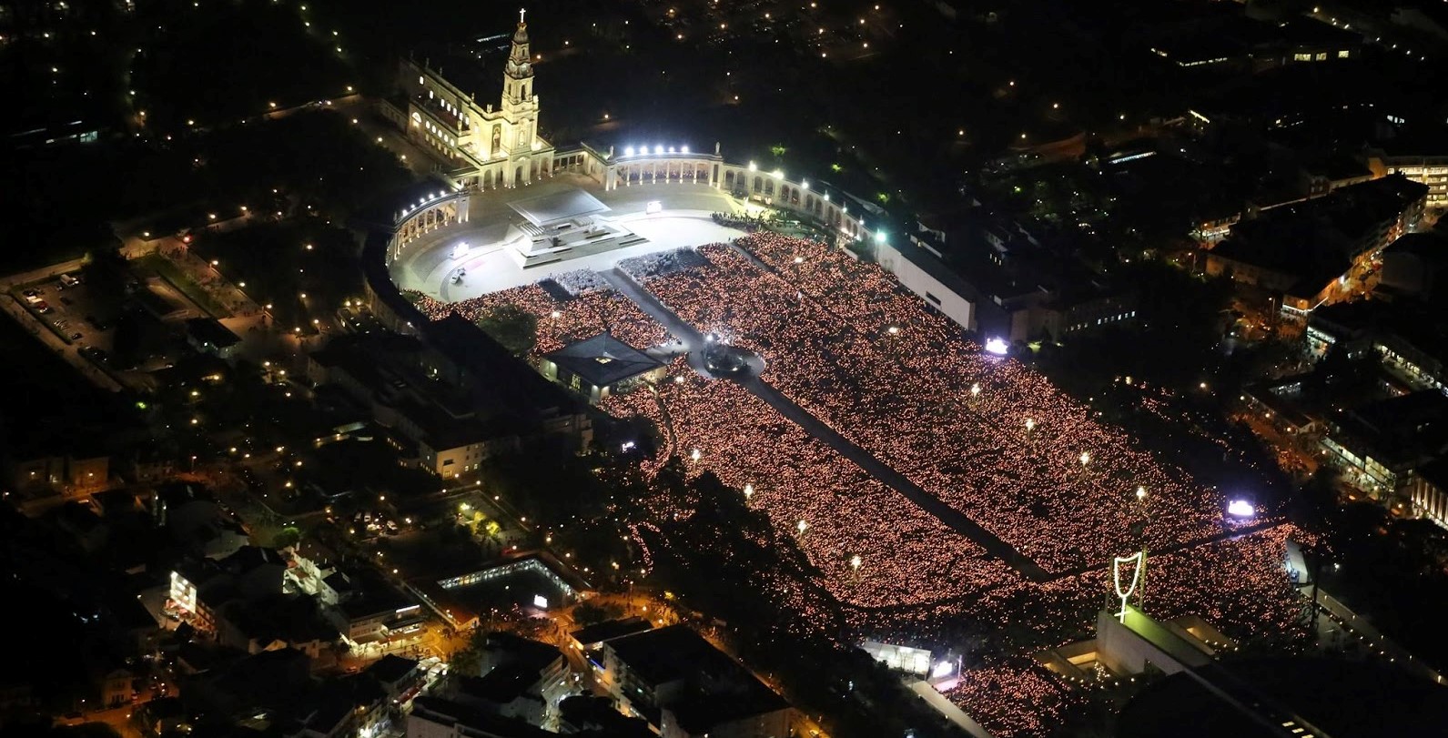 Ave de Fátima